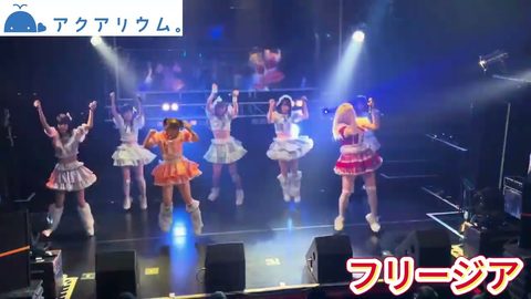 フリージア
